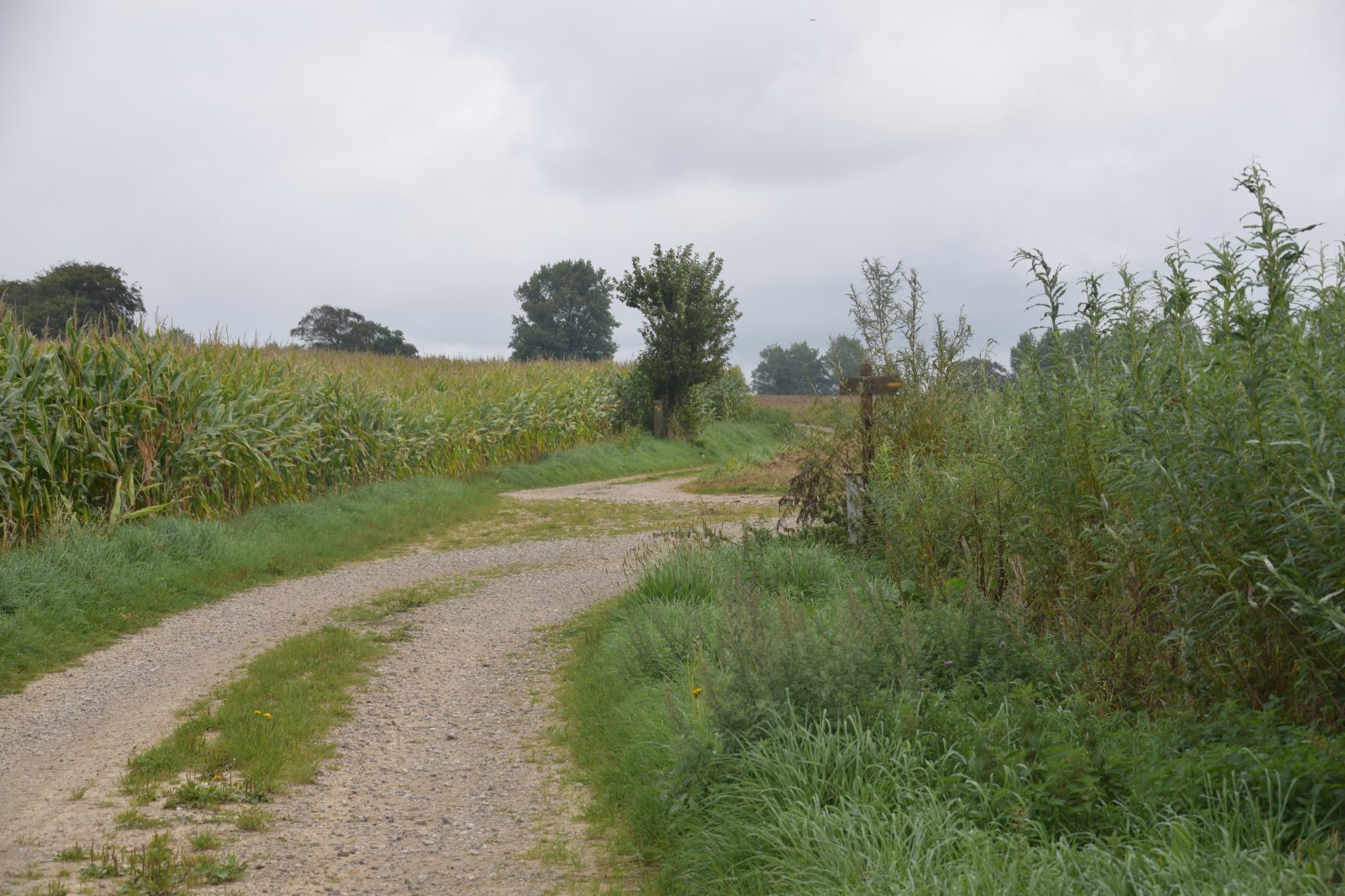 Les Hauts Liens