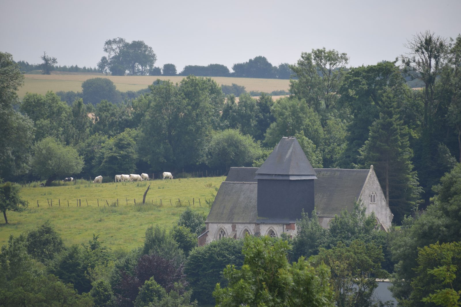 La Vallée des Cervidés