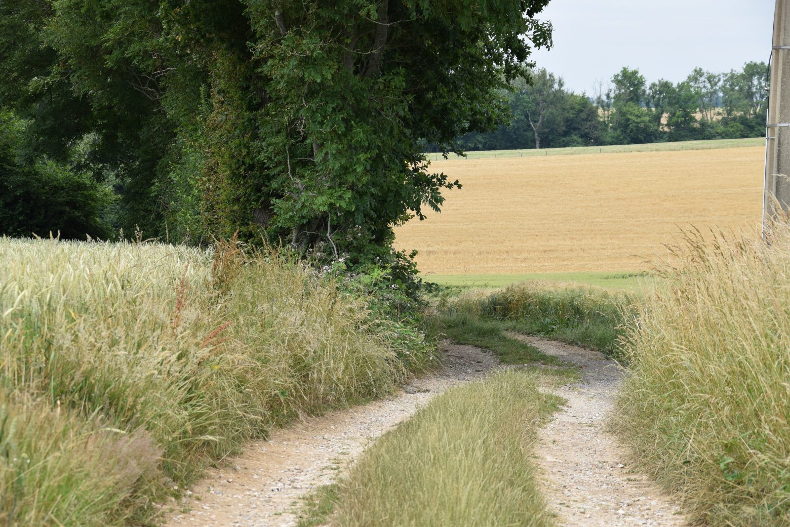 La Vallée des Cervidés