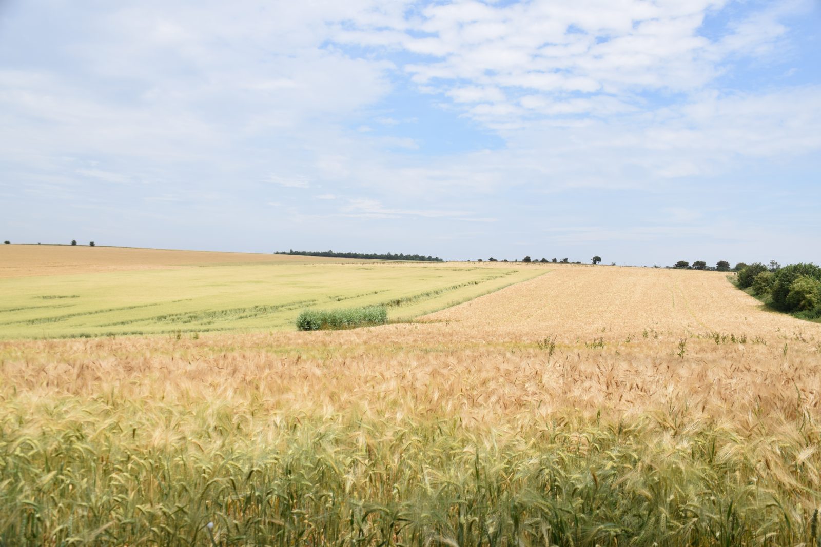 La Vallée des Cervidés