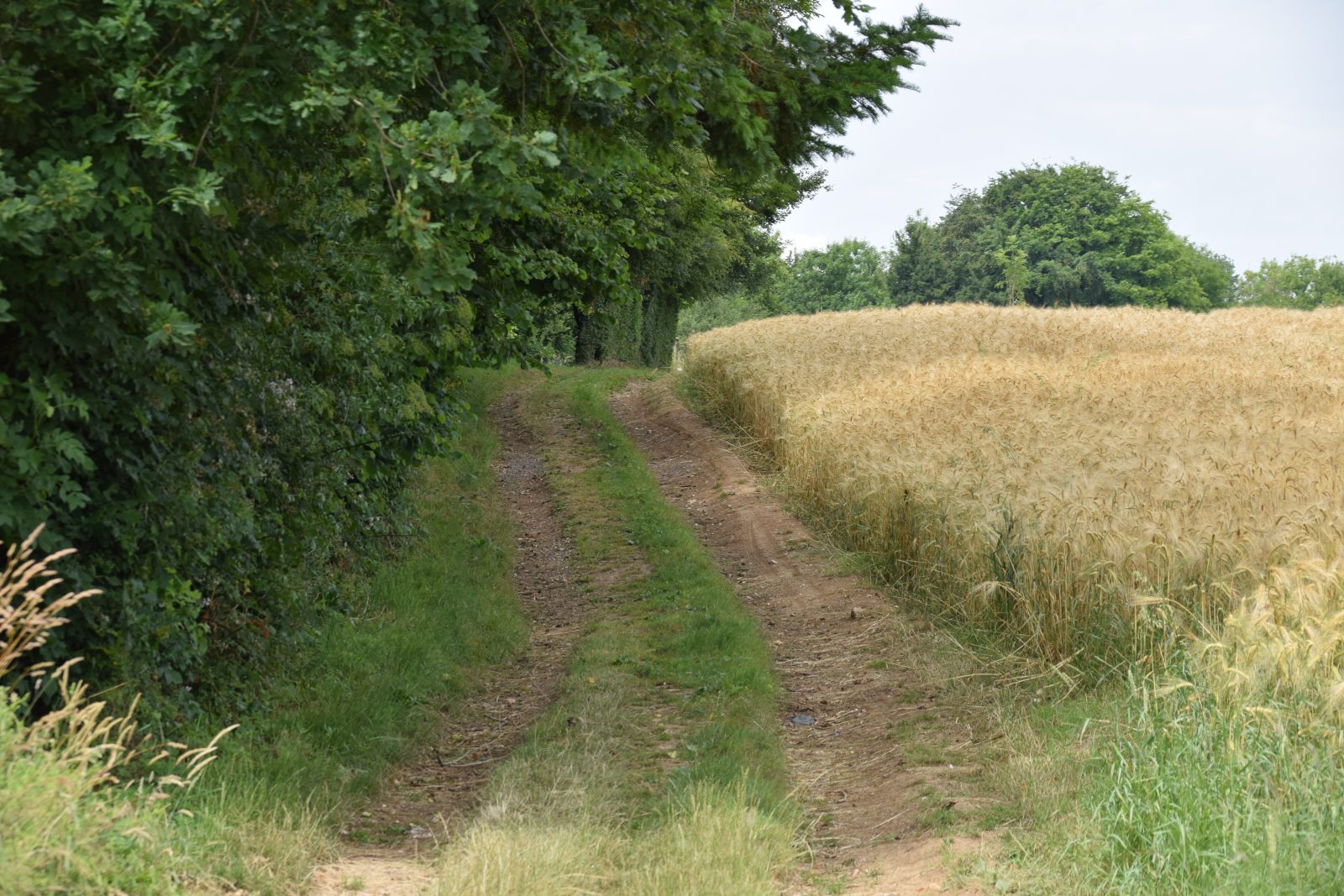 La Vallée des Cervidés