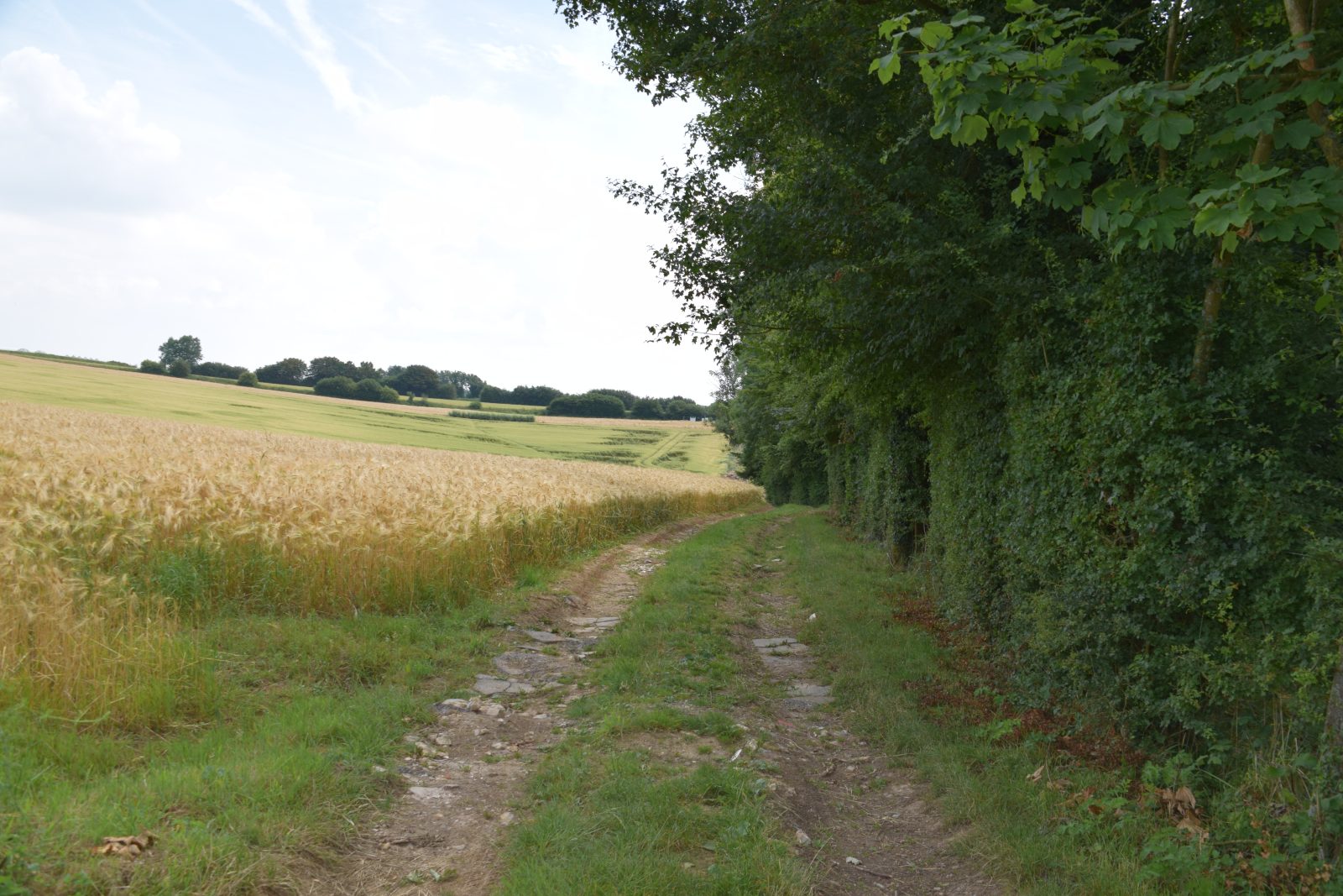 La Vallée des Cervidés