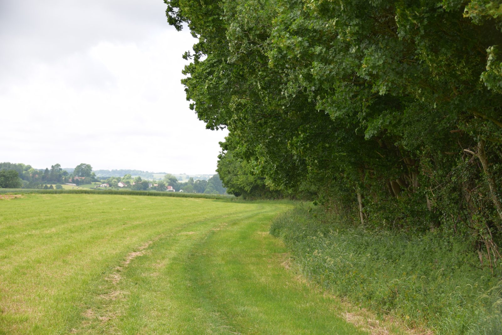 La Vallée des Cervidés