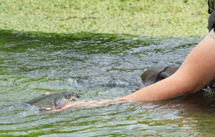 Etangs de Pêche à Rumilly